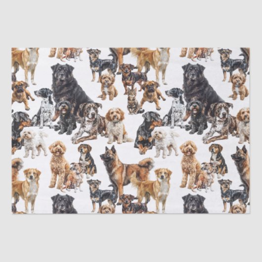たくさんの犬と猫 薄葉紙 (正面)