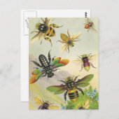 たくさんの美しいハチのポストカード ポストカード (正面/裏面)
