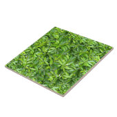 たくさんの美しい緑葉の タイル (側面)