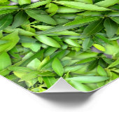 たくさんの美しい緑葉の ポスター (コーナー)