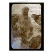 たくさんの色の群れ (正面)