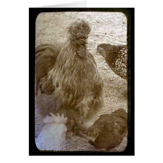 たくさんの色の群れ (正面)