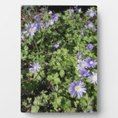 たくさんの花 フォトプラーク (正面)