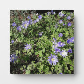 たくさんの花 フォトプラーク (正面)