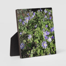 たくさんの花 フォトプラーク