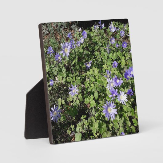 たくさんの花 フォトプラーク (正面)