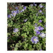 たくさんの花 ポスター (正面)