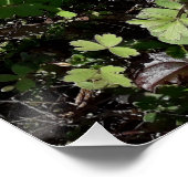 たくさんの花 ポスター (コーナー)