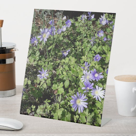 たくさんの花 台座サイン (インサイチュ)