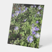 たくさんの花 台座サイン (正面)