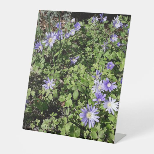 たくさんの花 台座サイン (正面)