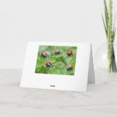 たくさんの運が降り注ぎますように - たくさんのてんとう虫と共に！ カード (裏面)