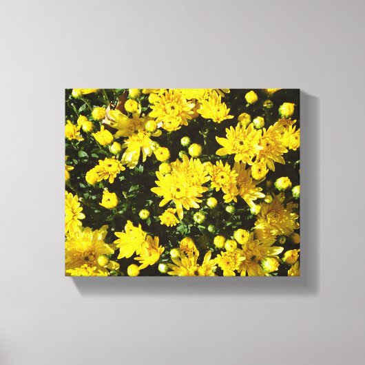 たくさんの黄色い梅 キャンバスプリント (正面)