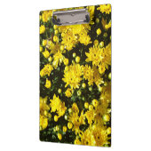 たくさんの黄色い梅 クリップボード (左)