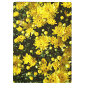 たくさんの黄色い梅 クリップボード (裏面)