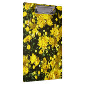 たくさんの黄色い梅 クリップボード (右)