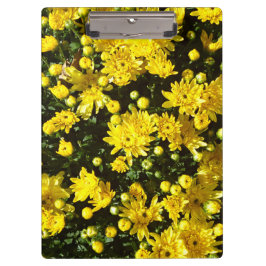 たくさんの黄色い梅 クリップボード