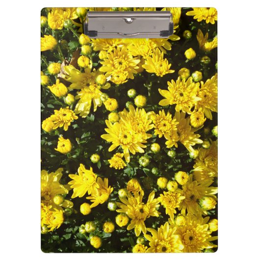 たくさんの黄色い梅 クリップボード (正面)