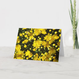 たくさんの黄色い梅 サンキューカード
