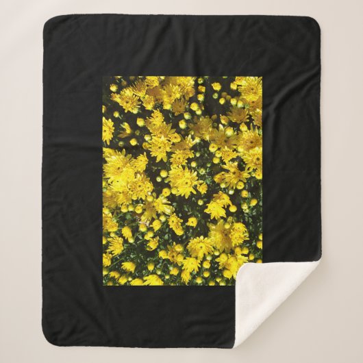 たくさんの黄色い梅 シェルパブランケット (正面)