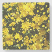 たくさんの黄色い梅 ストーンコースター (正面)