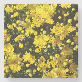 たくさんの黄色い梅 ストーンコースター