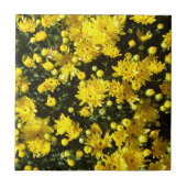 たくさんの黄色い梅 タイル (正面)