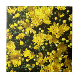 たくさんの黄色い梅 タイル