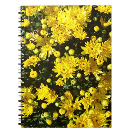 たくさんの黄色い梅 ノートブック (正面)
