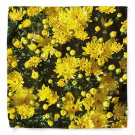 たくさんの黄色い梅 バンダナ