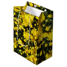 たくさんの黄色い梅