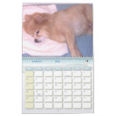 たくさん私達の小さいそり犬のBark カレンダー (1月 2026)