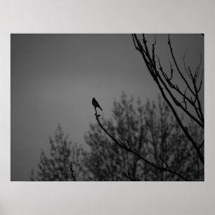 たそがれの鳥 ポスター
