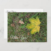 ただいま、ひとりきりの紅葉 ポストカード (正面/裏面)