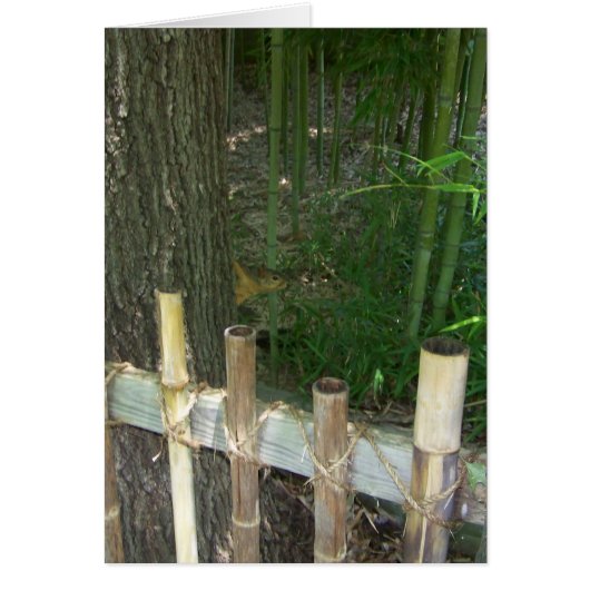 ただおもしろいのためにスニーキーが捕まる (正面)