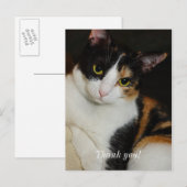 ただのんびりしているよ、ありがとう ポストカード (正面/裏面)