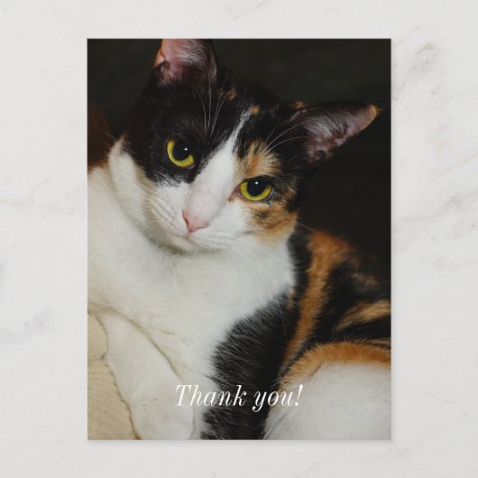 ただのんびりしているよ、ありがとう ポストカード (正面)