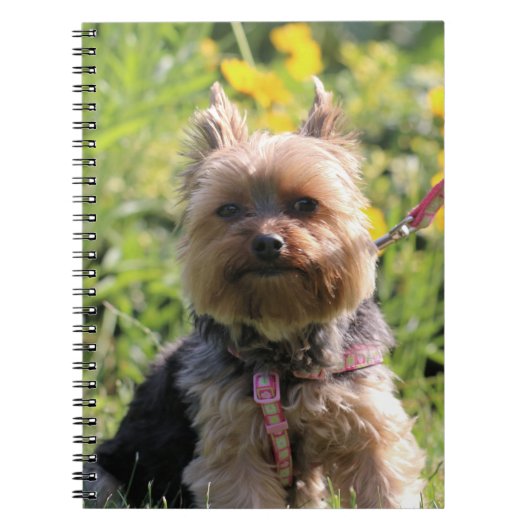 ただのダーリン ノートブック (正面)