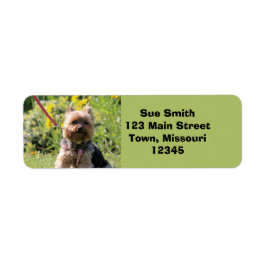 ただのダーリン ラベル