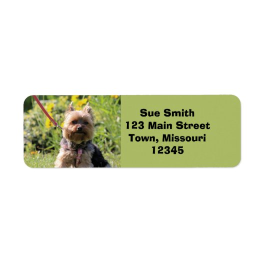 ただのダーリン ラベル (正面)