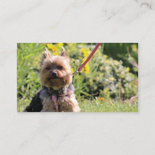 ただのダーリン 名刺 (裏面)