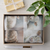 ただのベビー 薄葉紙 (ギフト)