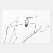 ただの棒に止まったスズメハチドリ ラッピングペーパーシート (正面)