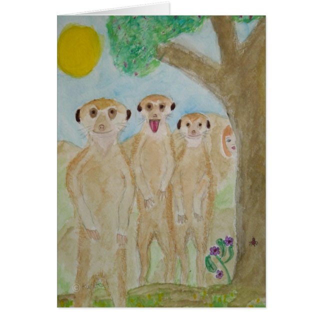 ただのkats (正面)