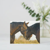 ただのTouch ポストカード (スタンド正面)