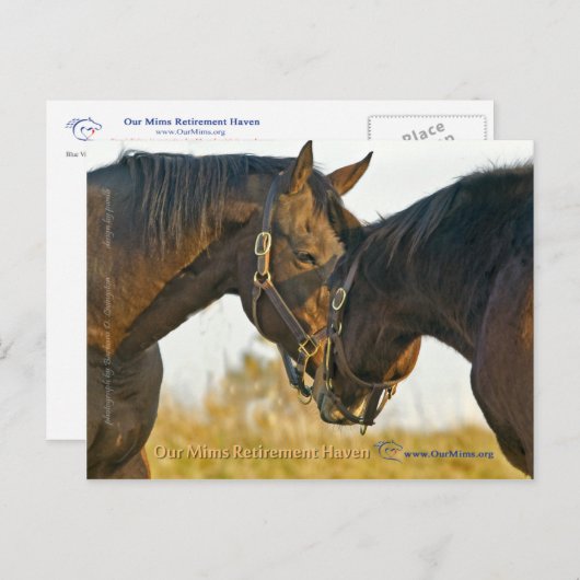 ただのTouch ポストカード (正面/裏面)