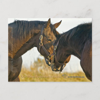 ただのTouch ポストカード