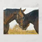 ただのTouch ポストカード (正面)