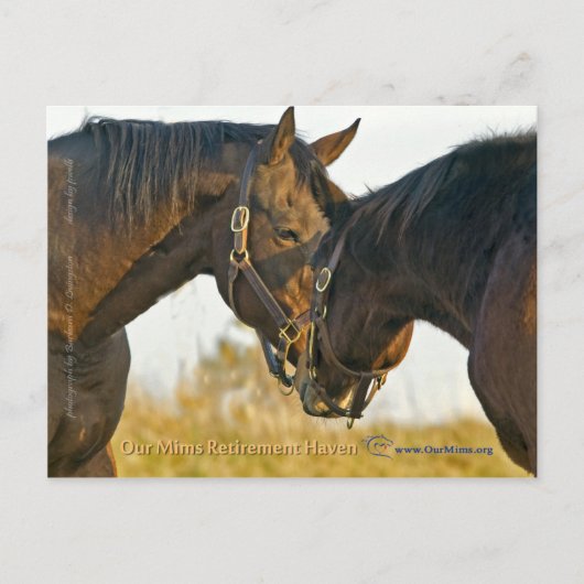 ただのTouch ポストカード (正面)