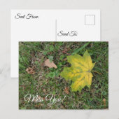 ただひとつの秋の葉 ポストカード (正面/裏面)